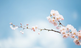Journal Blog is Here