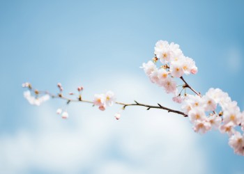 Journal Blog is Here